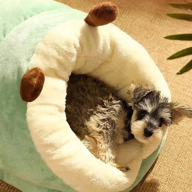 The Pet Nest