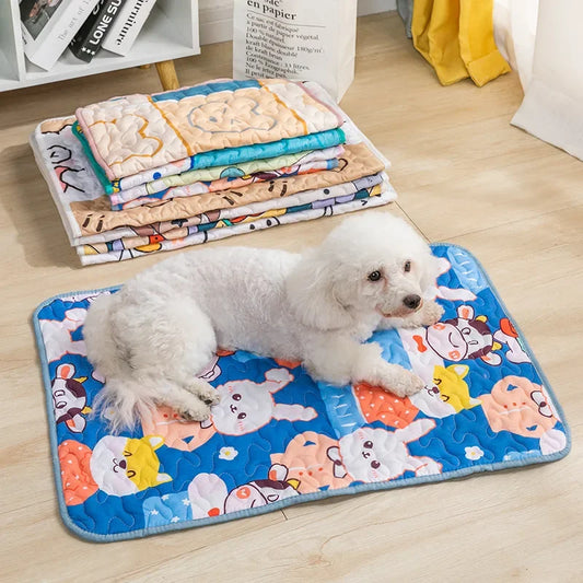 Washable Pet Mat